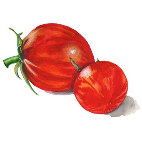 Körsbärstomat 'Pink Bumblebee' Svenskodlat frö