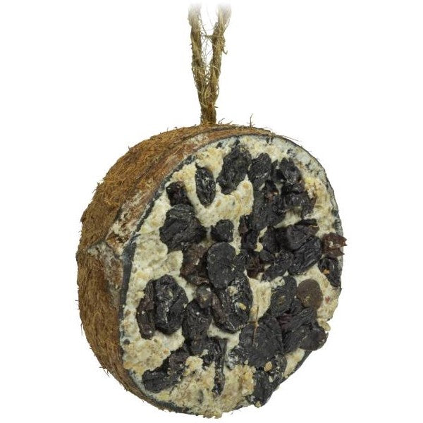 Halv Kokosnöt med Russin inkl Upphängning