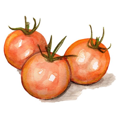 Körsbärstomat 'Goldiana' Svenskodlat frö