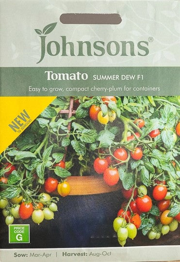 Tomat 'Summer Dew' F1