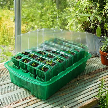 Miniväxthus Visiroot Djup '7x4 celler' 1st