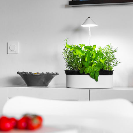 Sunlite MiniHerb L ø31cm m. tråg