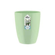 Brussels Orchid High 12,5cm Soft Green