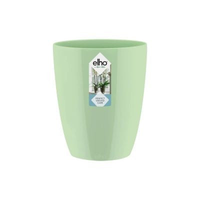 Brussels Orchid High 12,5cm Soft Green