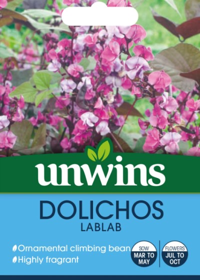 Hjälmböna 'Dolichos Lablab'