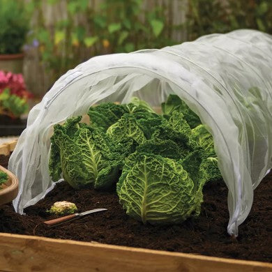 Odlingstunnel Kålnät 3m