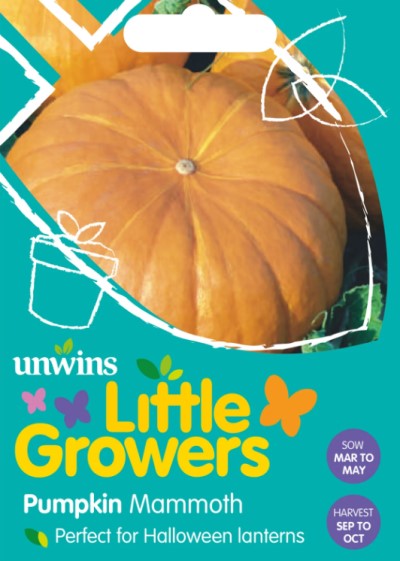 Little Growers Pumpa 'Mammoth'