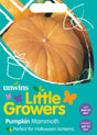 Little Growers Pumpa 'Mammoth'