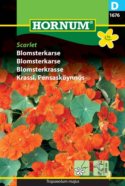 Blomsterkrasse 'Scarlet'