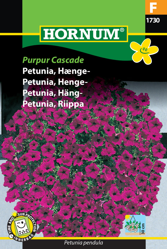 Hängpetunia 'Purpur Cascade' frö