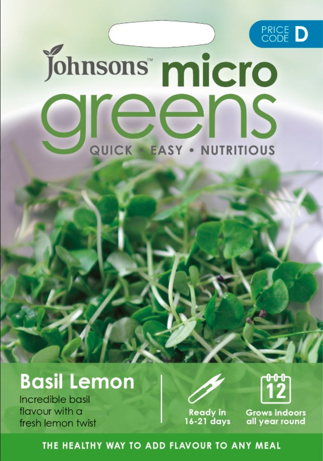 Microgreens 'Citronbasilika'