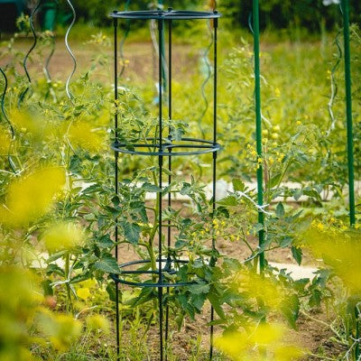 Växtstöd 'Berberis' H130cm