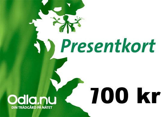 Presentkort 700