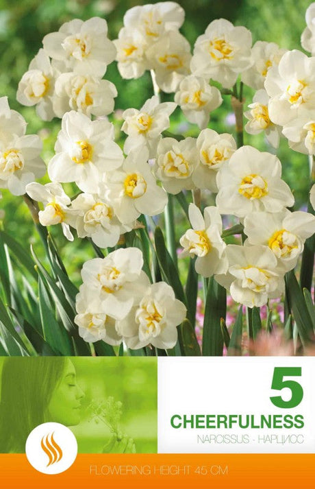 Bukettnarciss 'Cheerfulness' 5st