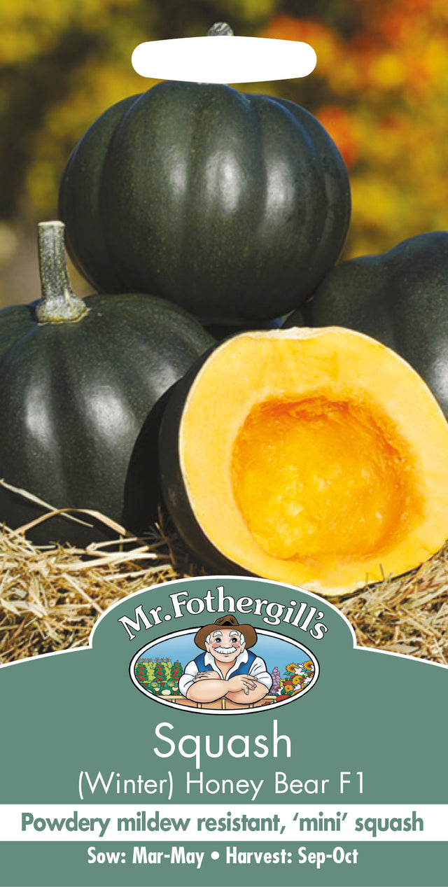 Squash 'Honey Bear' F1