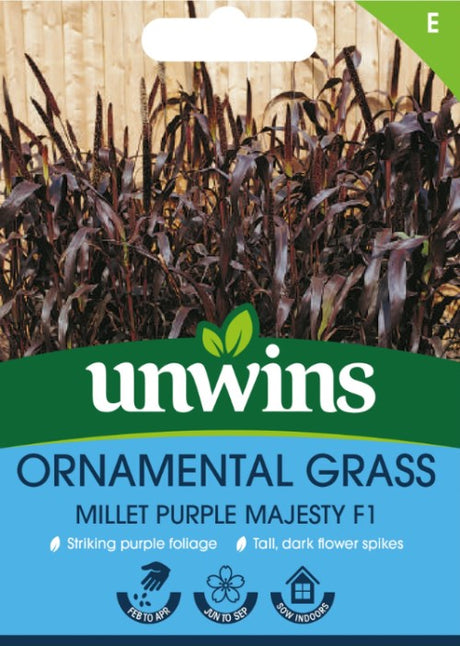 Pärlhirs 'Millet Purple Majesty' F1
