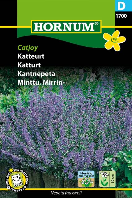 Kantnepeta 'Catjoy' frö