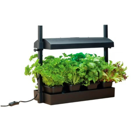 Växtbelysning 'Micro Grow Light Garden' LED Black