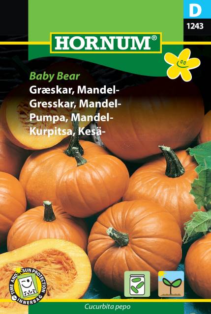 Mandelpumpa 'Baby Bear' frö