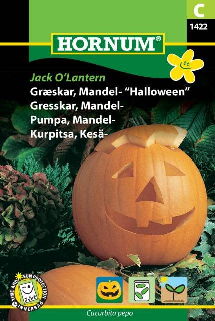 Mandelpumpa 'Jack O’Lantern' frö