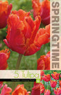 Papegojtulpan 'Amazing Parrot' 5st