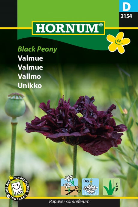 Pionvallmo 'Black Peony'