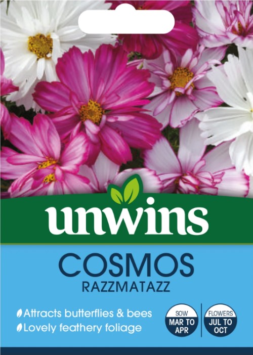 Rosenskära 'Razzmatazz'