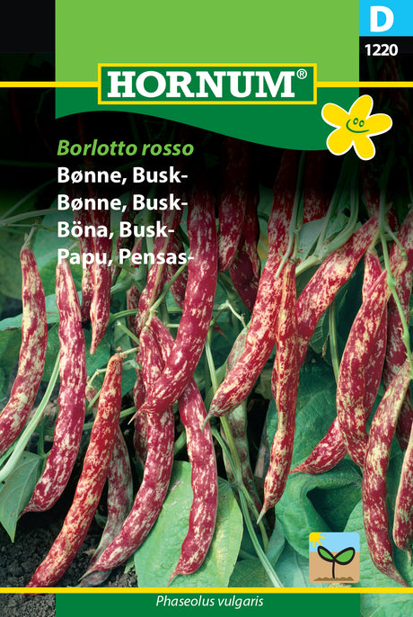 Buskböna 'Borlotto Rosso' frö