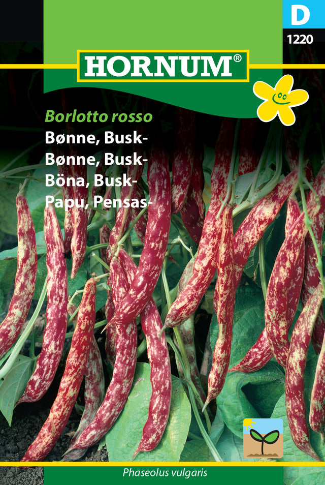 Buskböna 'Borlotto Rosso' frö