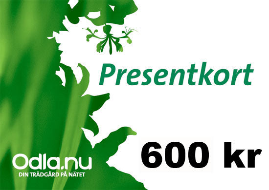 Presentkort 600