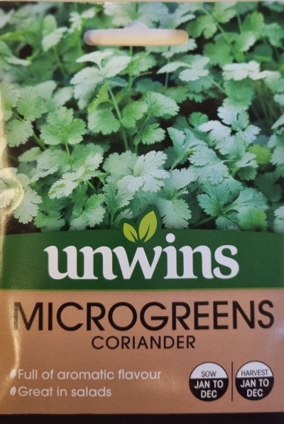 Microgreens 'Koriander'