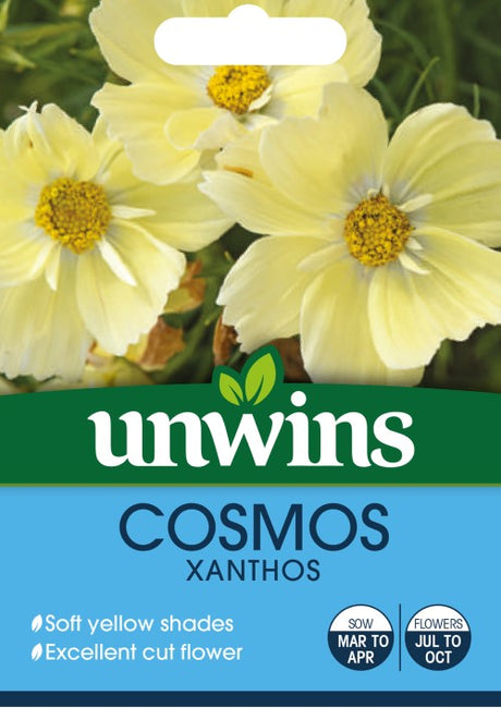 Rosenskära 'Xanthos'