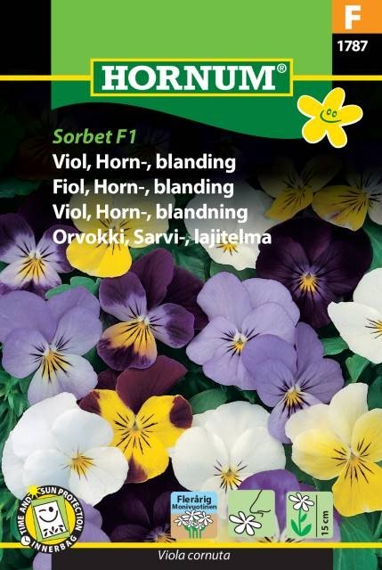 Viol 'Sorbet' F1 Mix