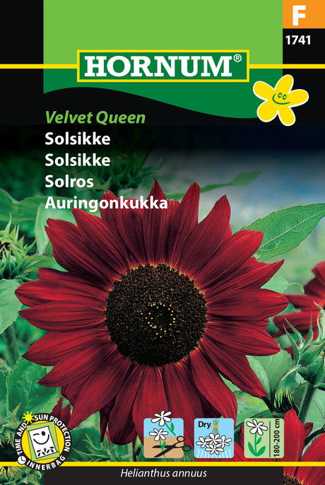 Solros 'Velvet Queen' frö