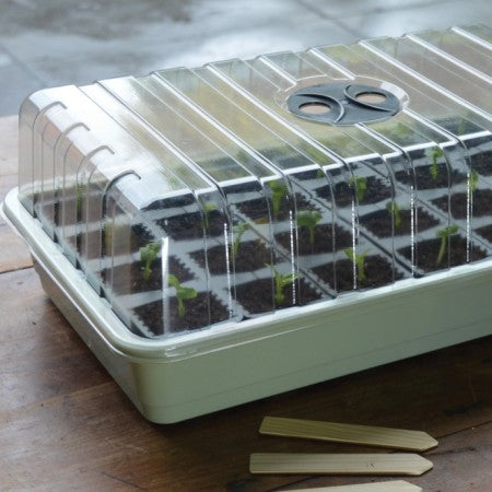 Miniväxthus 'Fast Root Success' 24 celler