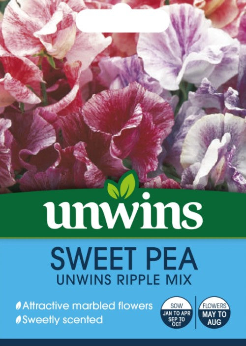 Luktärt Unwins 'Ripple Mix'