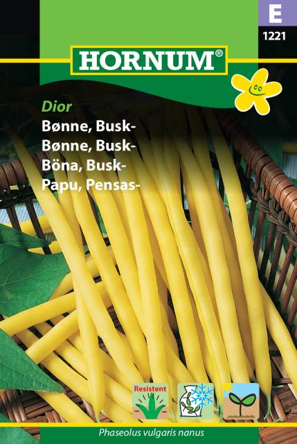 Vaxböna 'Dior' frö