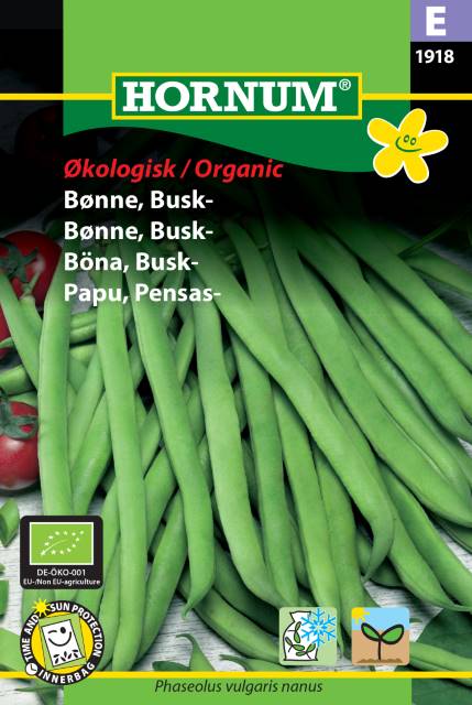 Brytböna 'Maxi' EKO