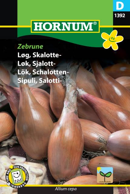 Schalottenlök 'Zebrune' frö