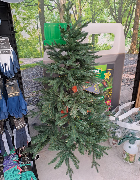 Konstgran 'Gelena' För vägg HALV 150cm