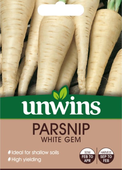 Palsternacka 'White Gem'