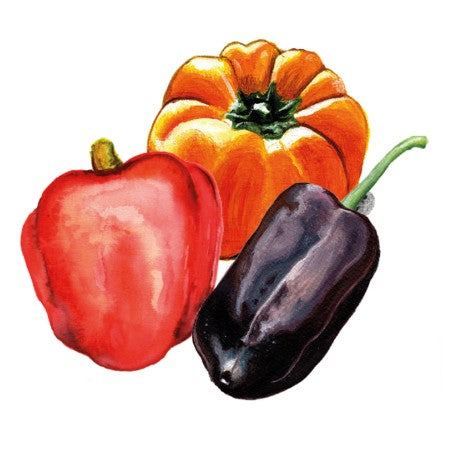 Paprika Mix Svenskodlat frö