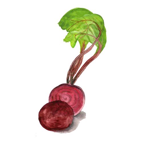 Rödbeta 'Jannis' Svenskodlat frö