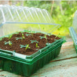 Miniväxthus Visiroot '12 celler' - 2st