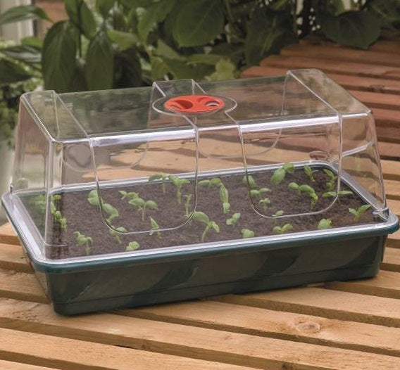 Miniväxthus Large Svart