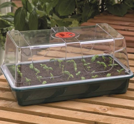 Miniväxthus Large Svart