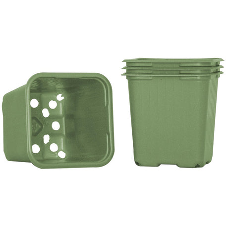 Planteringskruka 8cm, Grön 20st