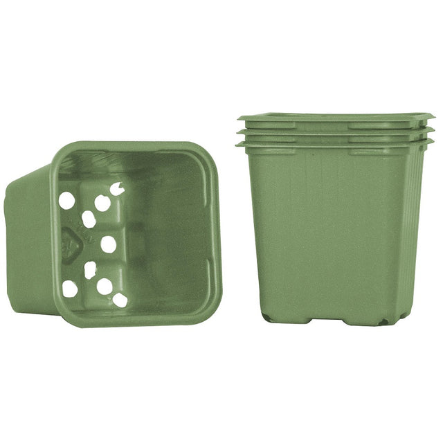 Planteringskruka 8cm, Grön 20st