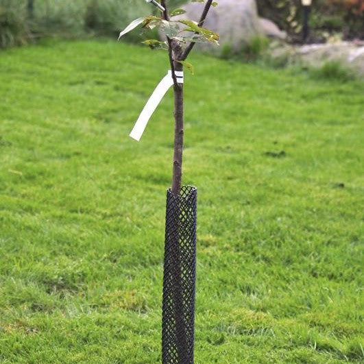 Gnagskydd 80 cm Svart