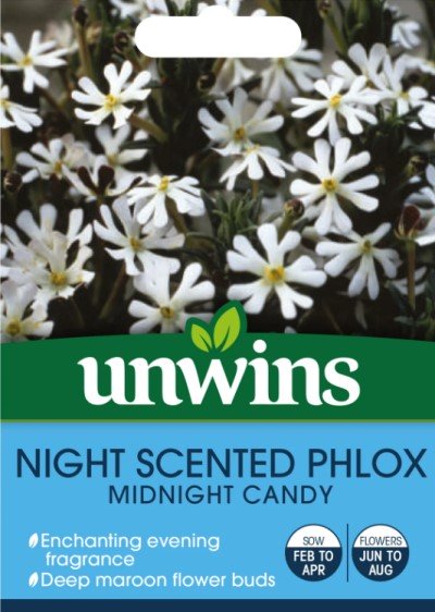 Nattblomster 'Midnight Candy'